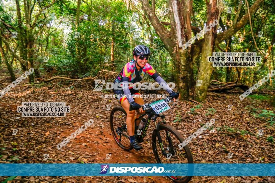 Circuito AEJ de Mountain Bike 2022