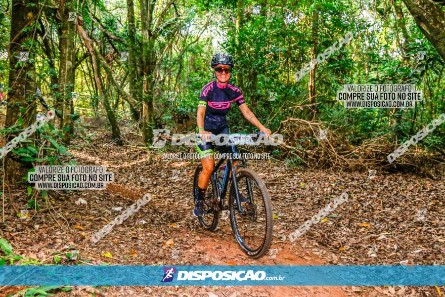 Circuito AEJ de Mountain Bike 2022