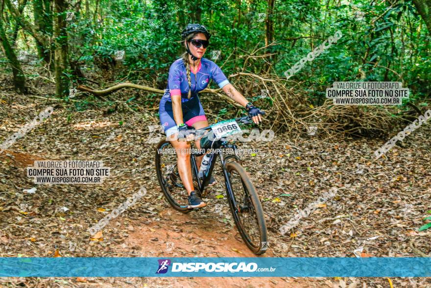 Circuito AEJ de Mountain Bike 2022