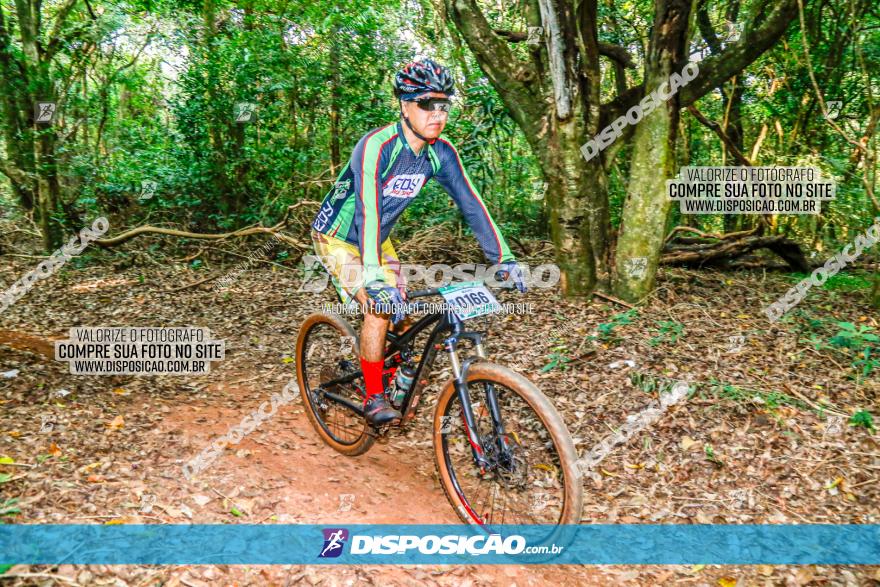 Circuito AEJ de Mountain Bike 2022