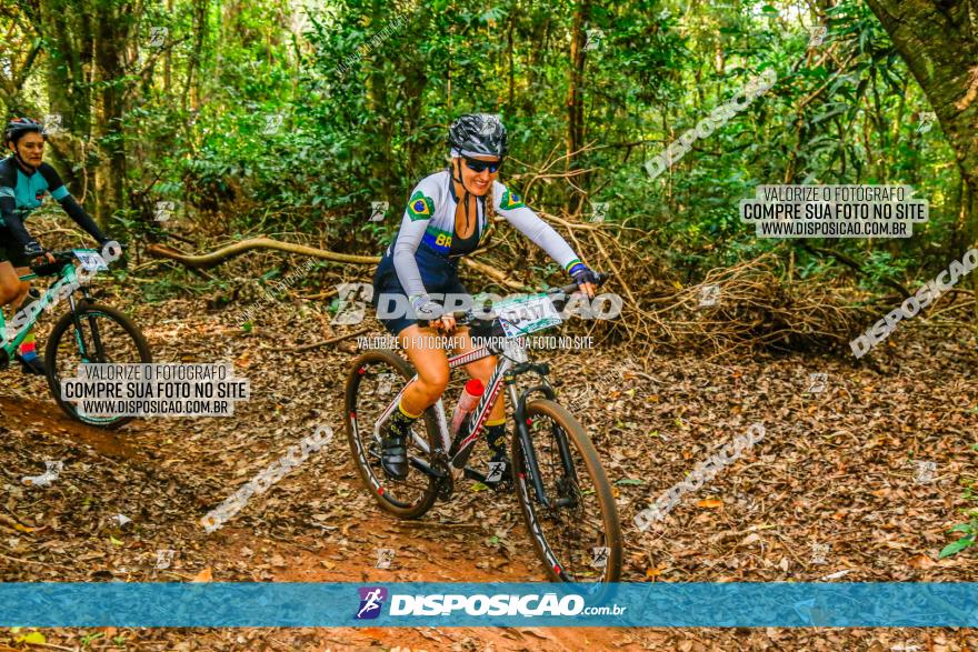 Circuito AEJ de Mountain Bike 2022