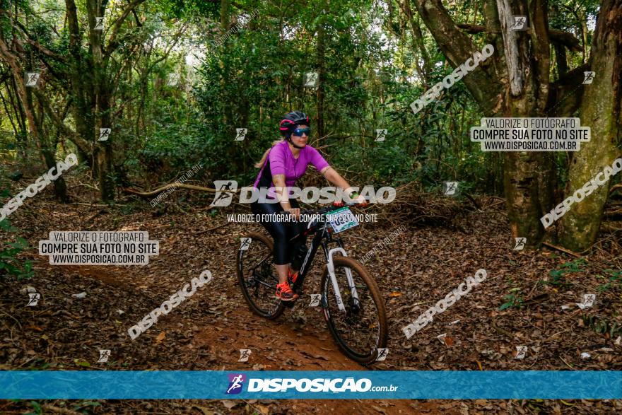 Circuito AEJ de Mountain Bike 2022