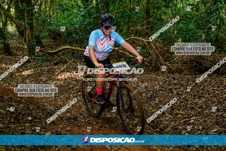 Circuito AEJ de Mountain Bike 2022