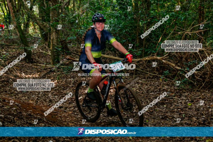 Circuito AEJ de Mountain Bike 2022