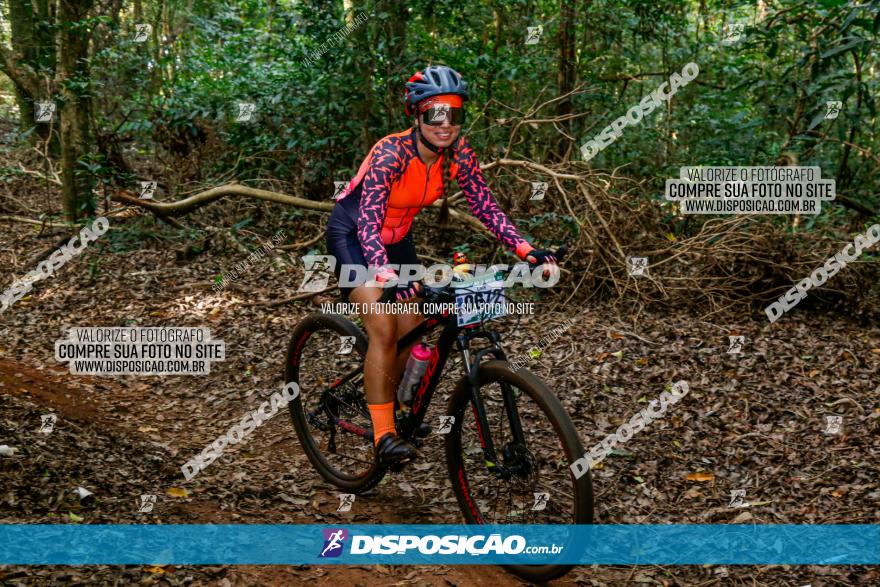 Circuito AEJ de Mountain Bike 2022