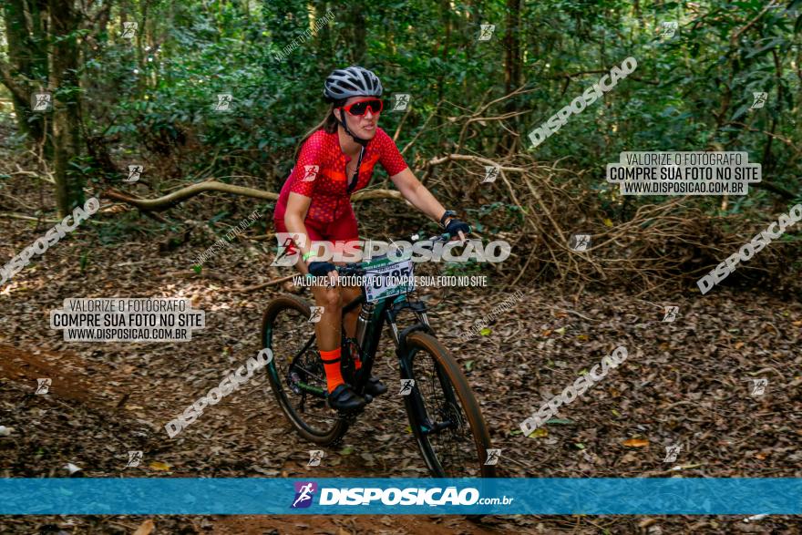 Circuito AEJ de Mountain Bike 2022