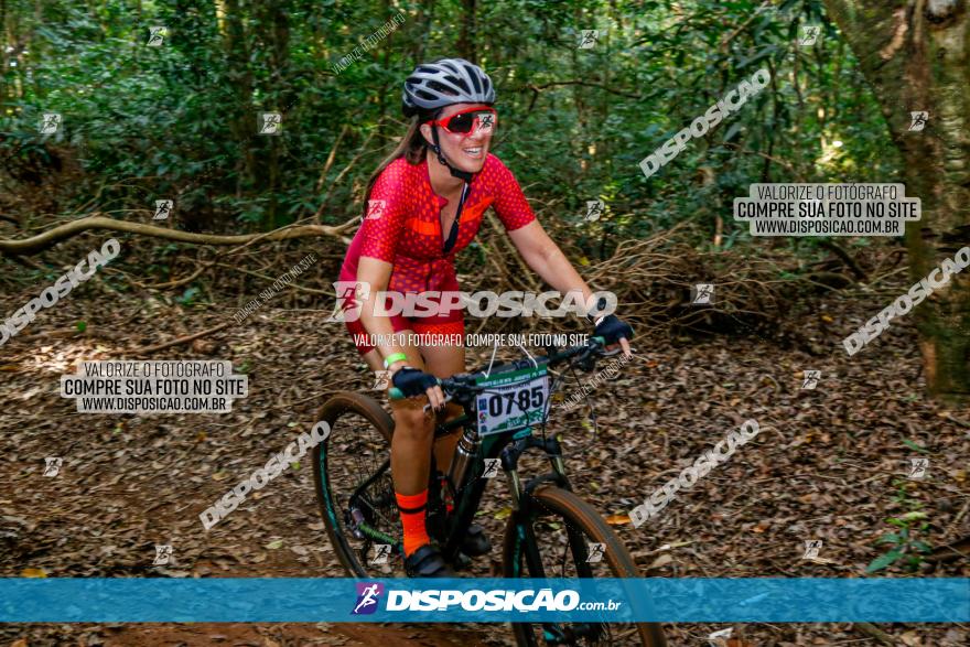 Circuito AEJ de Mountain Bike 2022