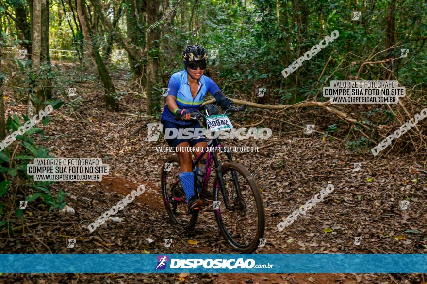 Circuito AEJ de Mountain Bike 2022