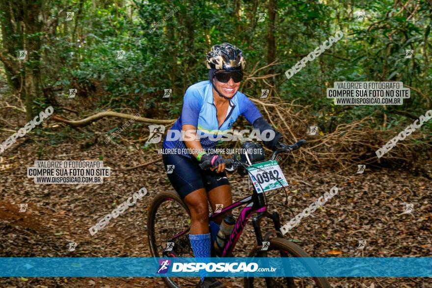 Circuito AEJ de Mountain Bike 2022