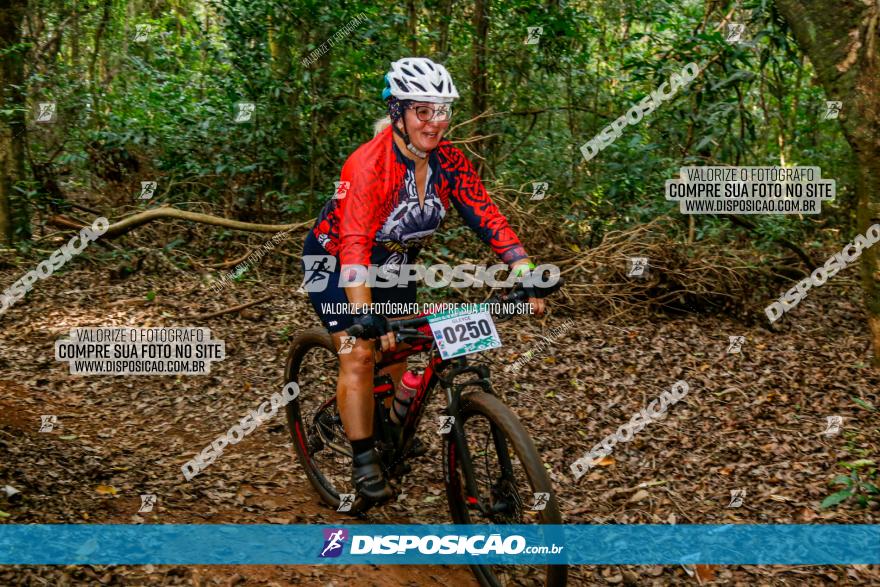 Circuito AEJ de Mountain Bike 2022