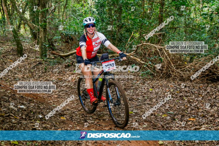 Circuito AEJ de Mountain Bike 2022