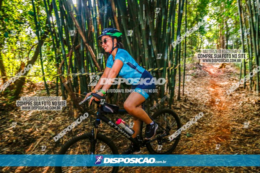 Circuito AEJ de Mountain Bike 2022