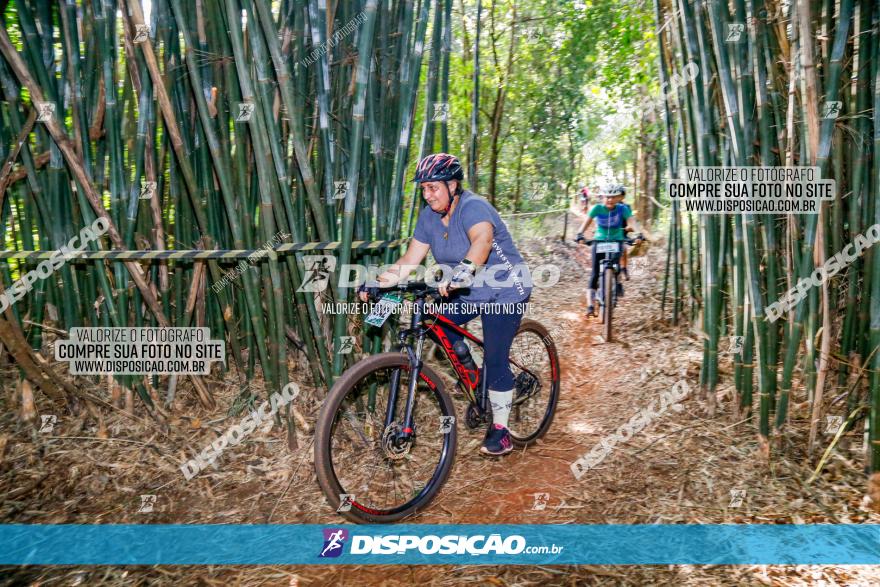 Circuito AEJ de Mountain Bike 2022