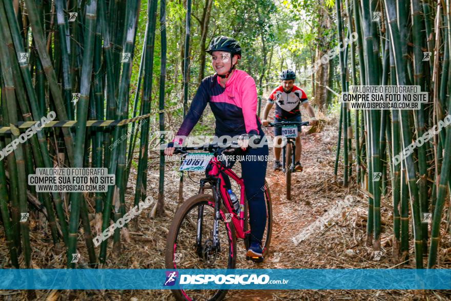 Circuito AEJ de Mountain Bike 2022