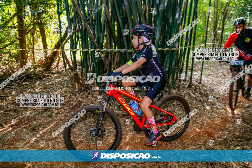 Circuito AEJ de Mountain Bike 2022