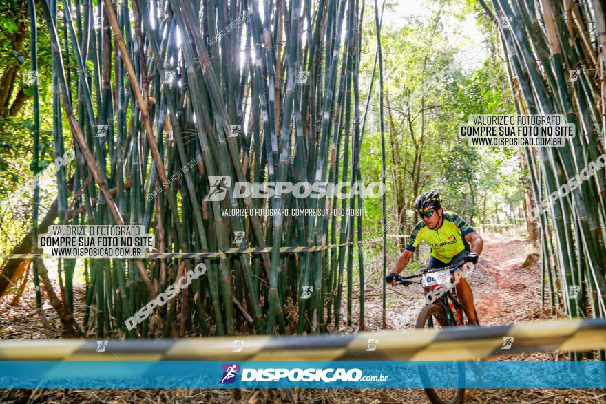 Circuito AEJ de Mountain Bike 2022