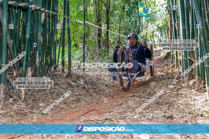 Circuito AEJ de Mountain Bike 2022