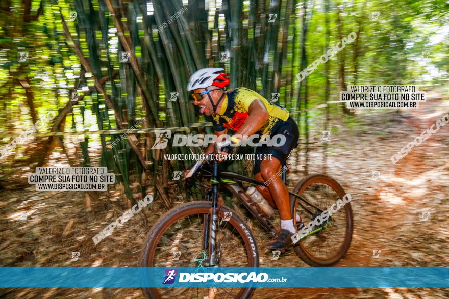 Circuito AEJ de Mountain Bike 2022