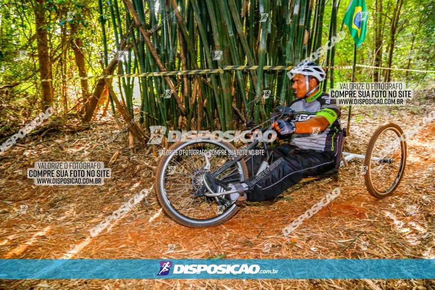 Circuito AEJ de Mountain Bike 2022