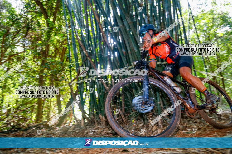 Circuito AEJ de Mountain Bike 2022