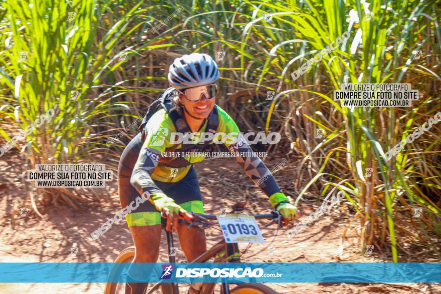 Circuito AEJ de Mountain Bike 2022