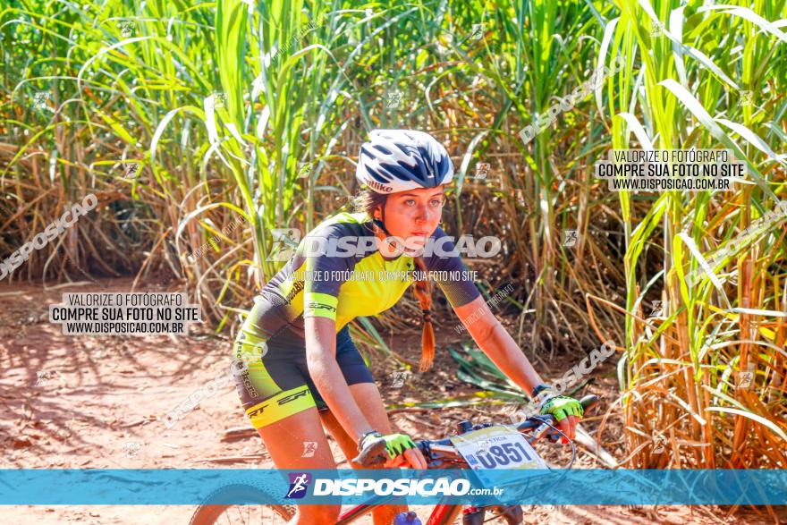 Circuito AEJ de Mountain Bike 2022