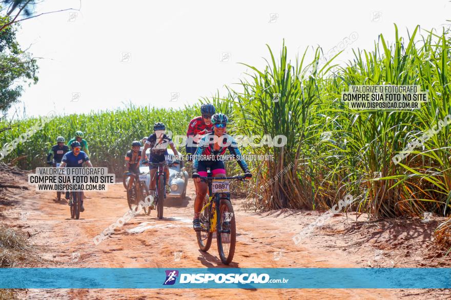 Circuito AEJ de Mountain Bike 2022