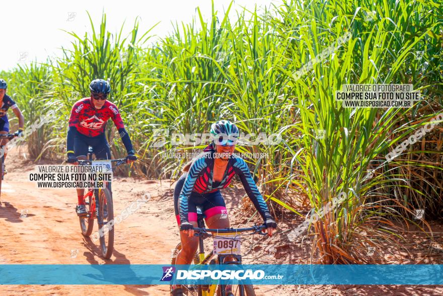 Circuito AEJ de Mountain Bike 2022