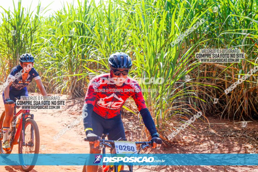 Circuito AEJ de Mountain Bike 2022