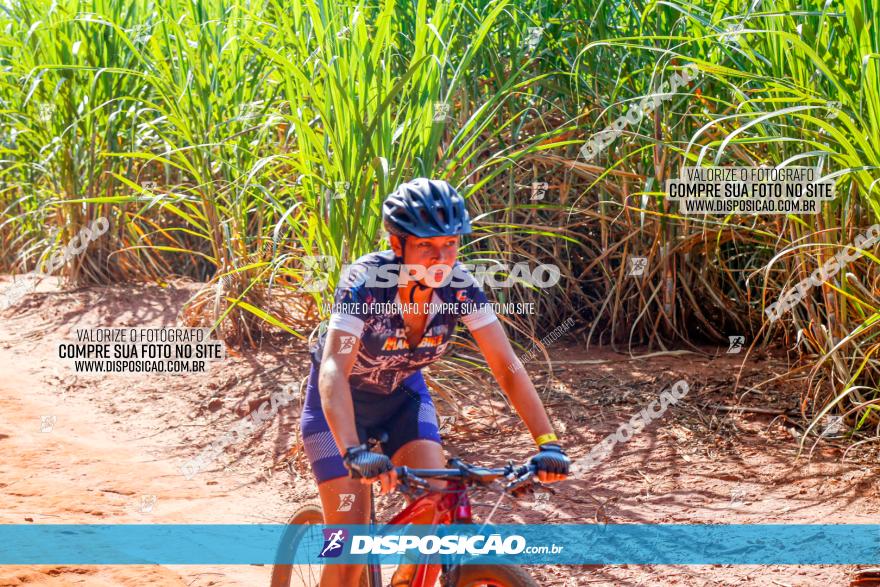 Circuito AEJ de Mountain Bike 2022