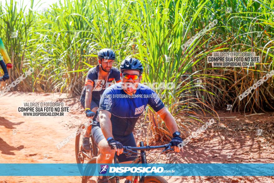 Circuito AEJ de Mountain Bike 2022