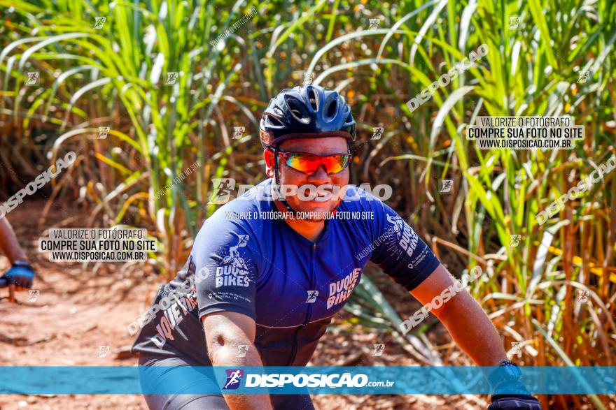 Circuito AEJ de Mountain Bike 2022