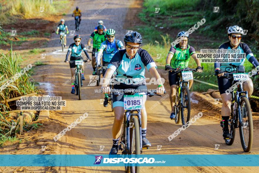 Circuito AEJ de Mountain Bike 2022