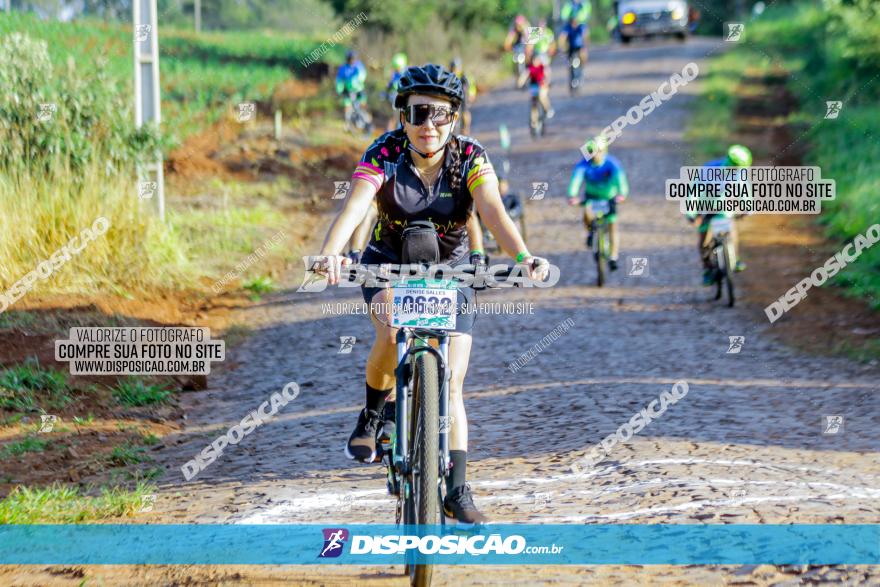 Circuito AEJ de Mountain Bike 2022