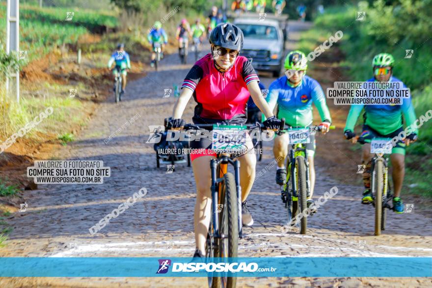 Circuito AEJ de Mountain Bike 2022