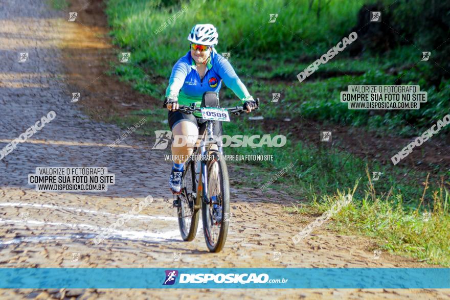 Circuito AEJ de Mountain Bike 2022