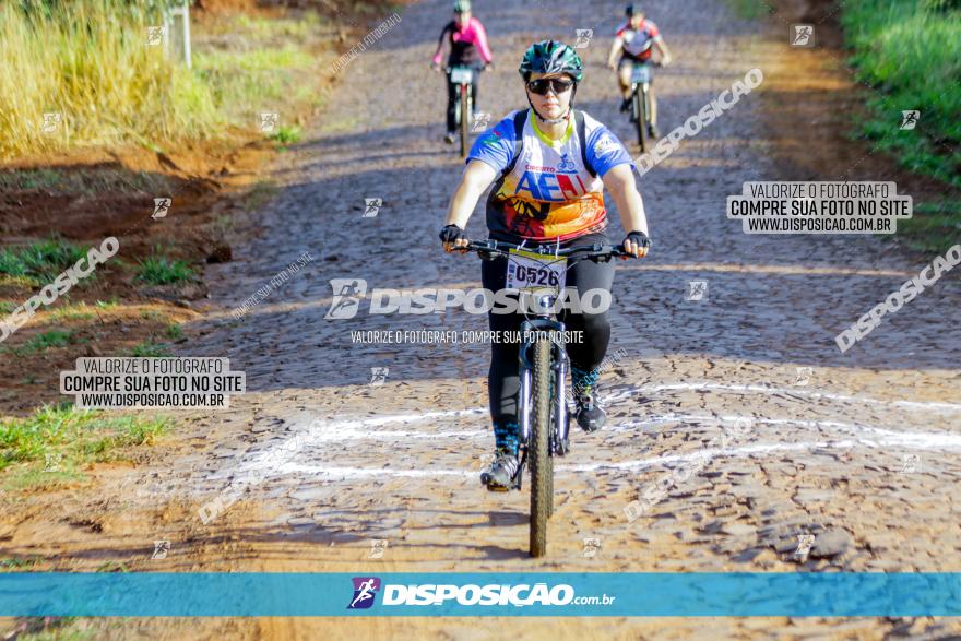 Circuito AEJ de Mountain Bike 2022