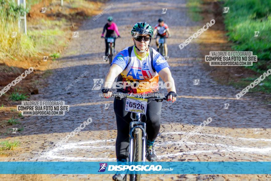 Circuito AEJ de Mountain Bike 2022