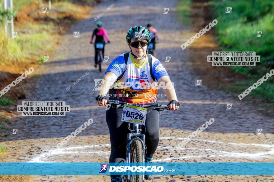 Circuito AEJ de Mountain Bike 2022