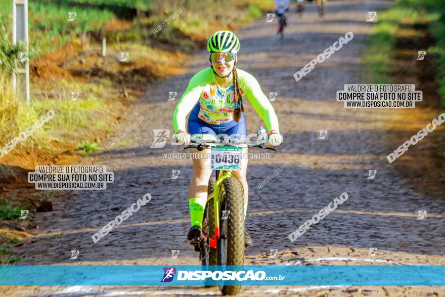 Circuito AEJ de Mountain Bike 2022