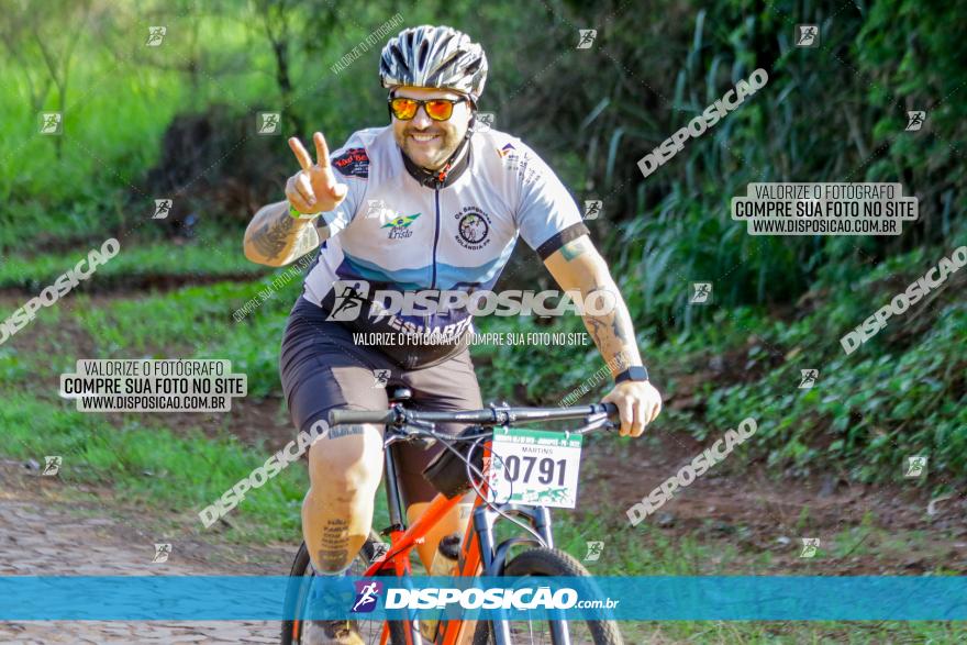 Circuito AEJ de Mountain Bike 2022