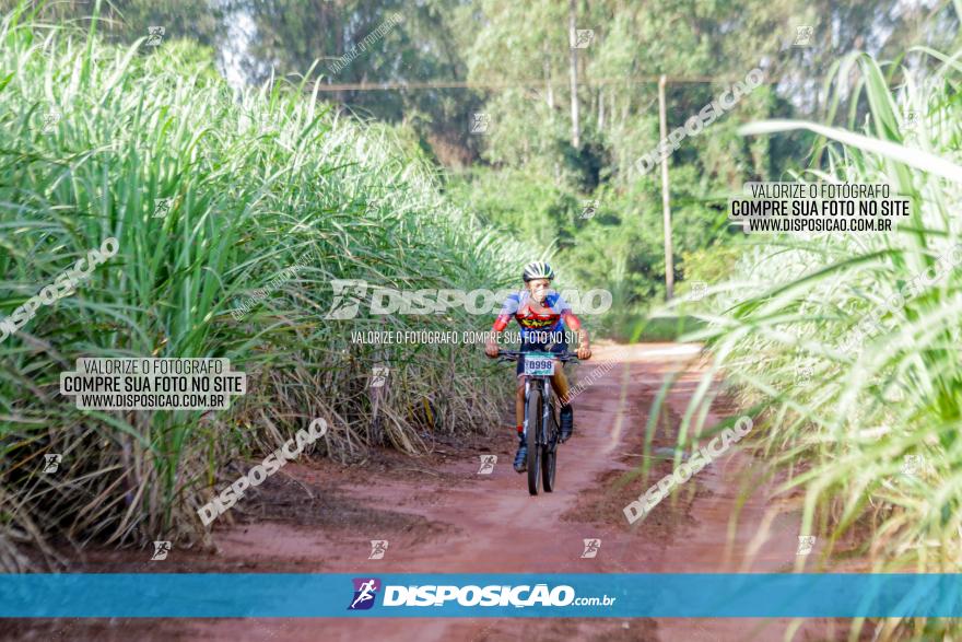 Circuito AEJ de Mountain Bike 2022