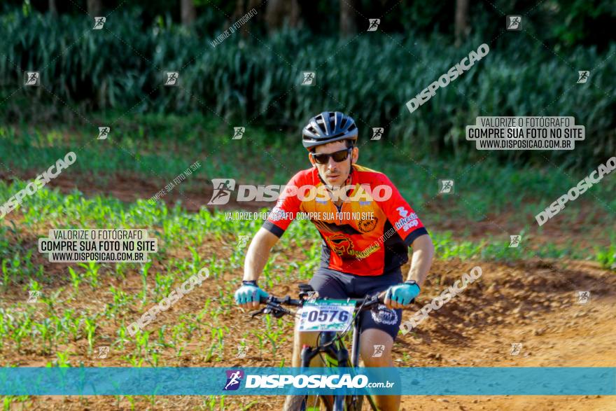 Circuito AEJ de Mountain Bike 2022