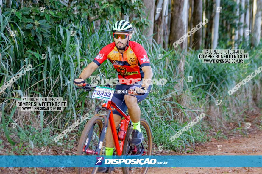 Circuito AEJ de Mountain Bike 2022