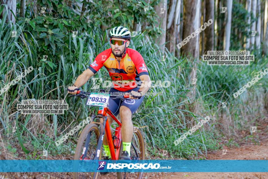 Circuito AEJ de Mountain Bike 2022