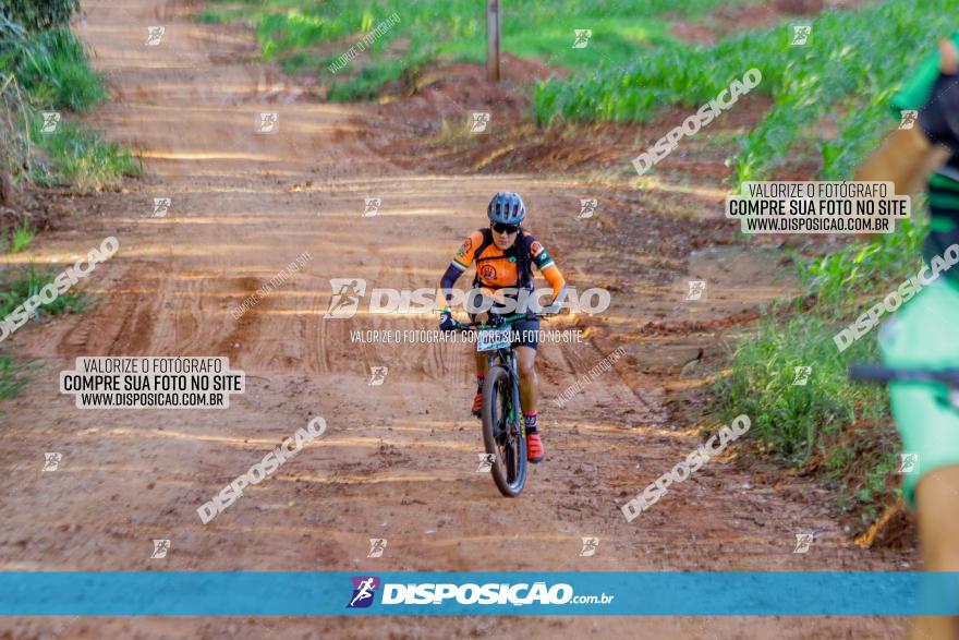 Circuito AEJ de Mountain Bike 2022