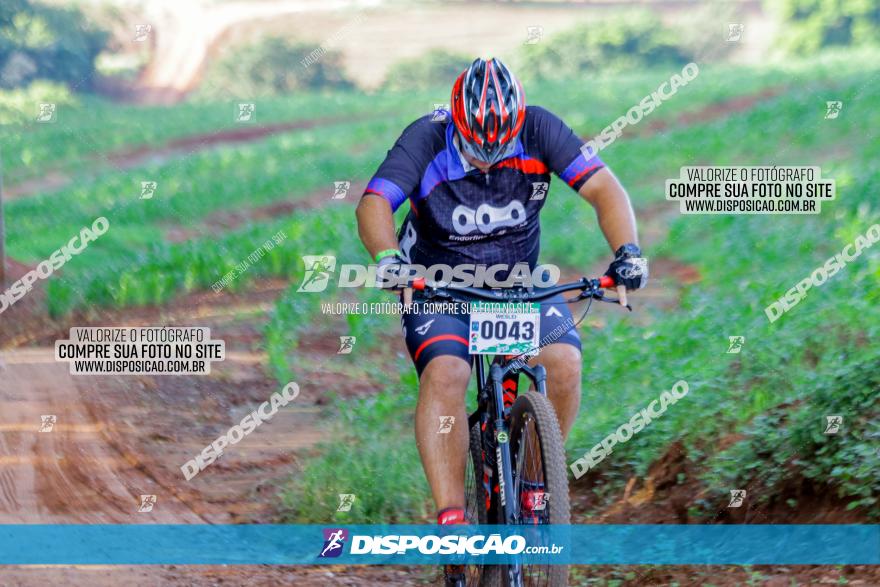 Circuito AEJ de Mountain Bike 2022