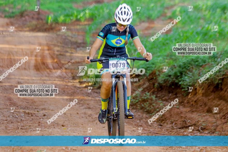 Circuito AEJ de Mountain Bike 2022