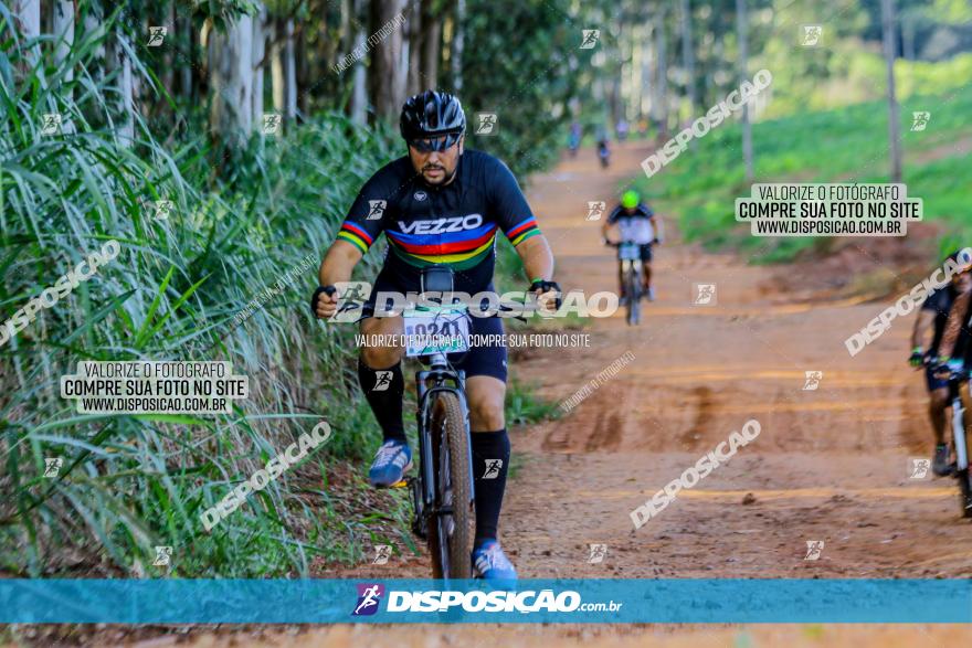 Circuito AEJ de Mountain Bike 2022