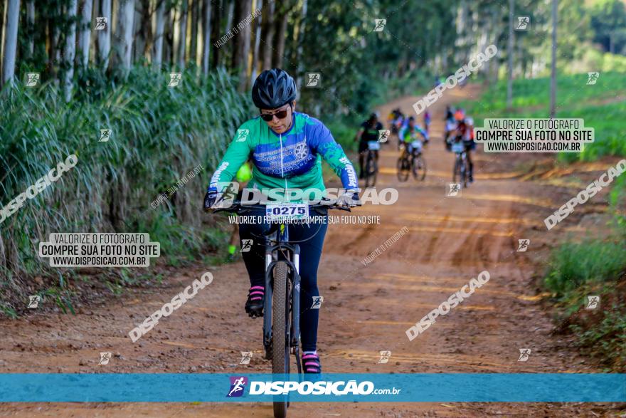 Circuito AEJ de Mountain Bike 2022